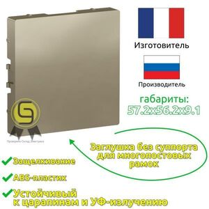 Заглушка пластиковая декоративная крышка Systeme Electric 5шт ATN000509.5